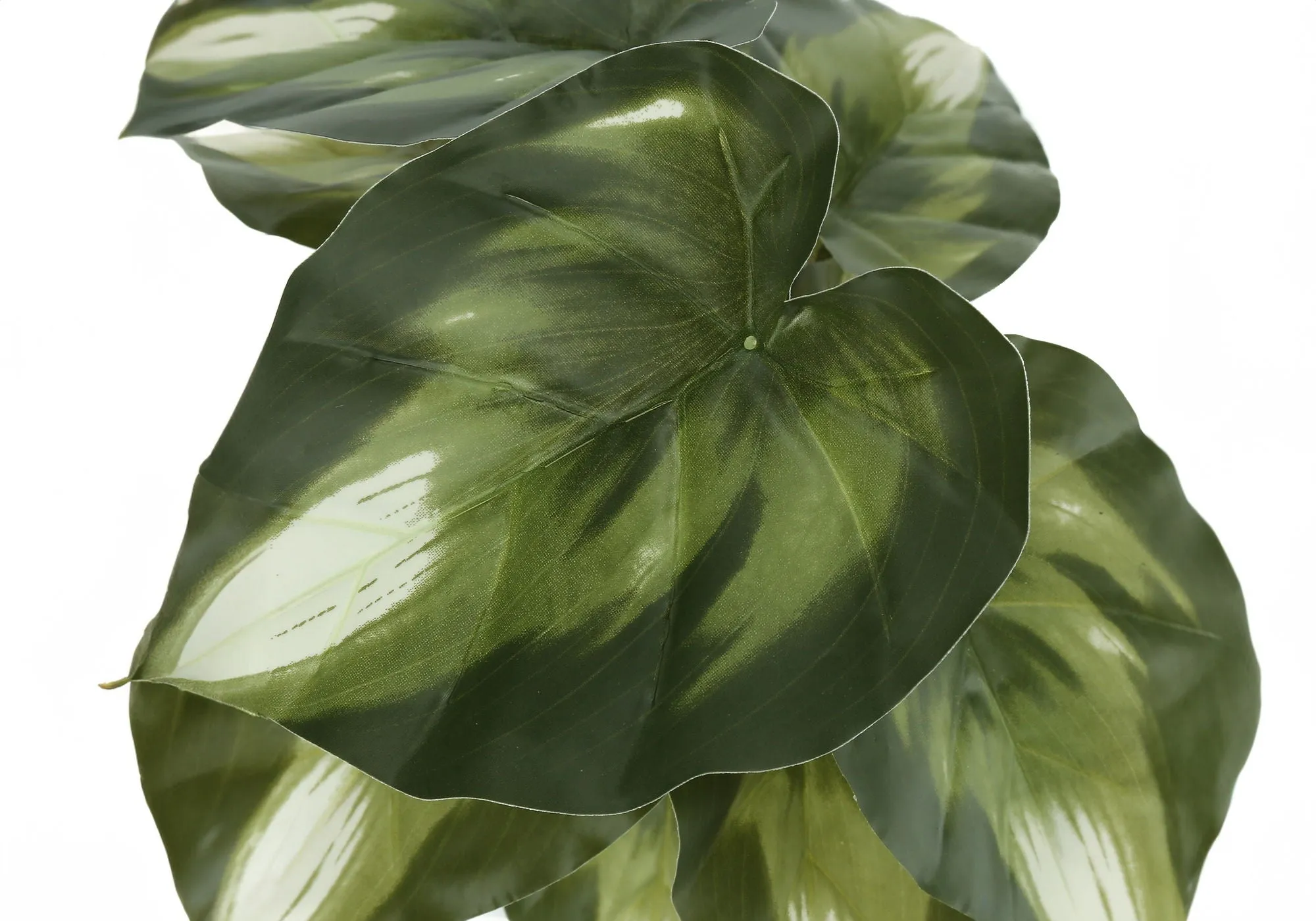 13" Tall, Artificial Plant, Monstera Calthea, Indoor, Faux, Fake, Table, Greenery, Potted, Decorative (Set of 2) - Green / Black by Couch.com