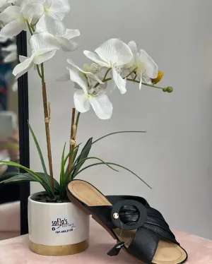 Plus Shoes Black