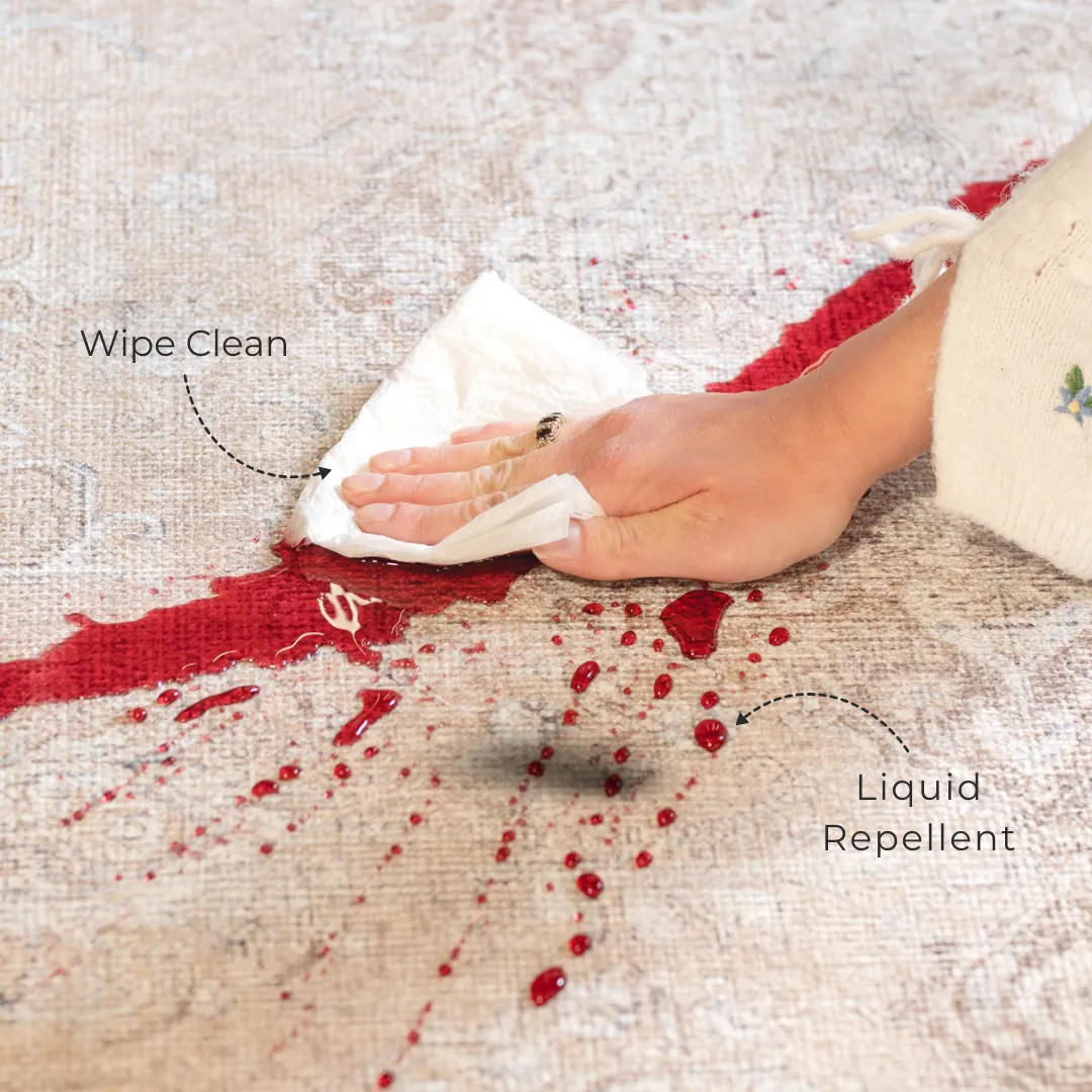 Washable Indoor Doormat - Zoe